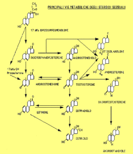 Alopecia Androgenetica