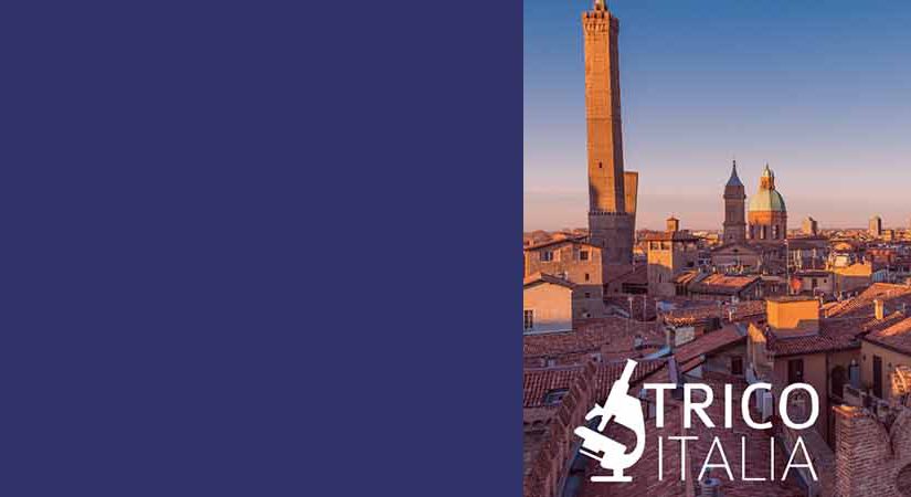 15° Congresso TricoItalia